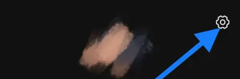 蝙蝠Bat