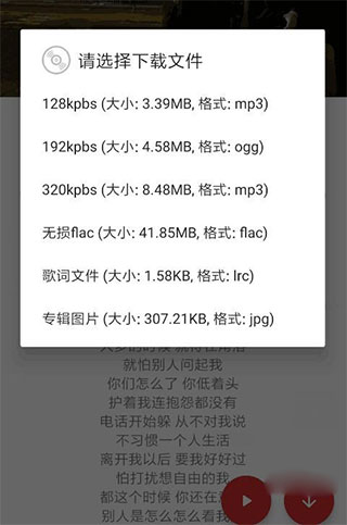 QMD音乐下载器