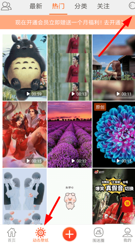 壁纸精灵免费版