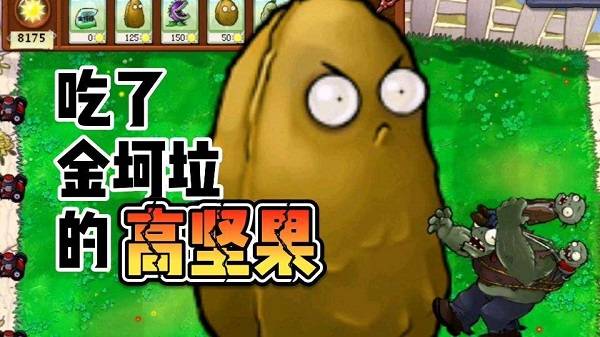 pvz金坷垃