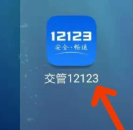 交管12123