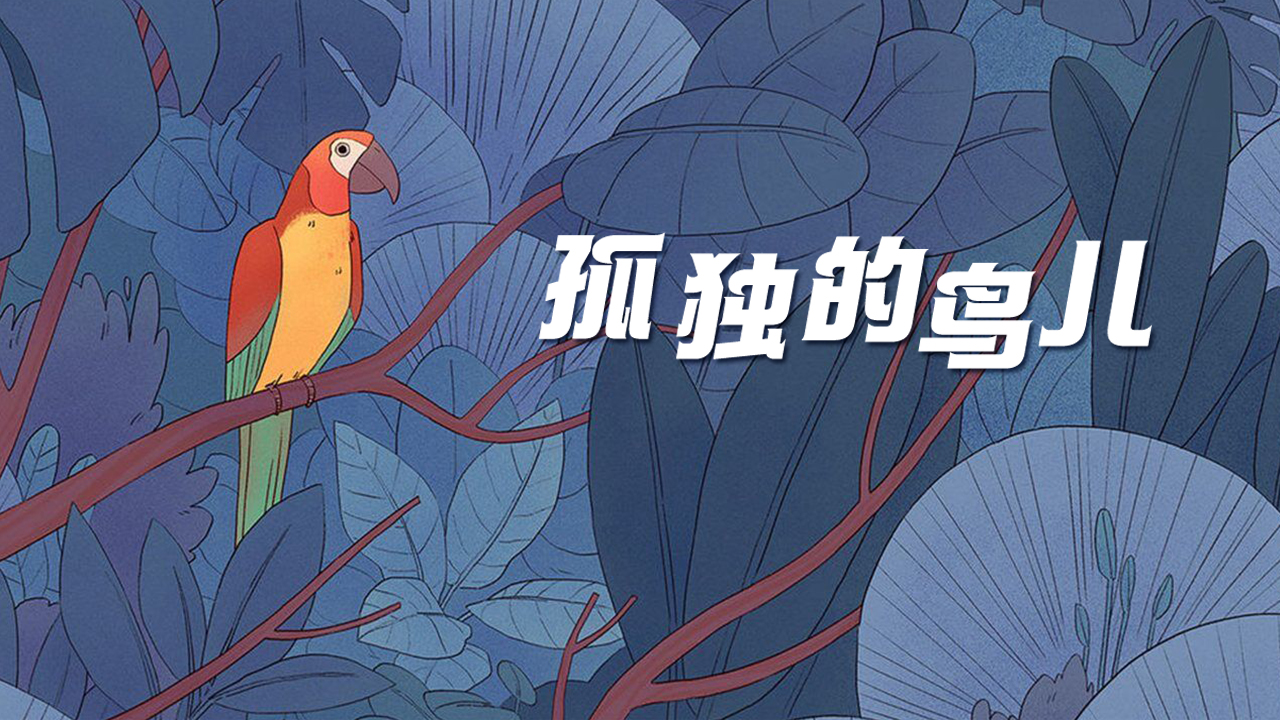 孤獨(dú)的鳥(niǎo)兒官方正版