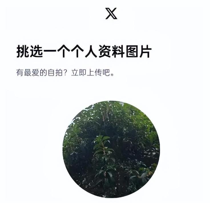 Twitter安卓版安装包