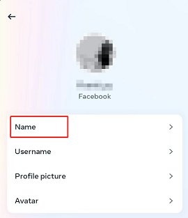 Facebook2025