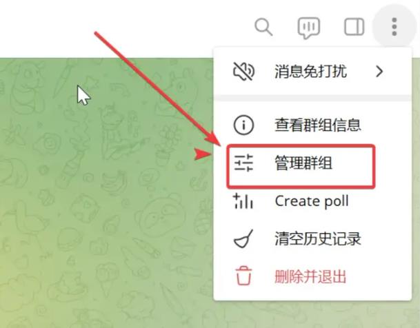 纸飞机国外聊天