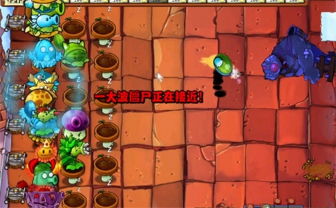 植物大战僵尸杂交手机版青岛安徽app开发
