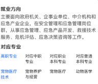 职业生涯规划