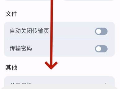 闪抓传输