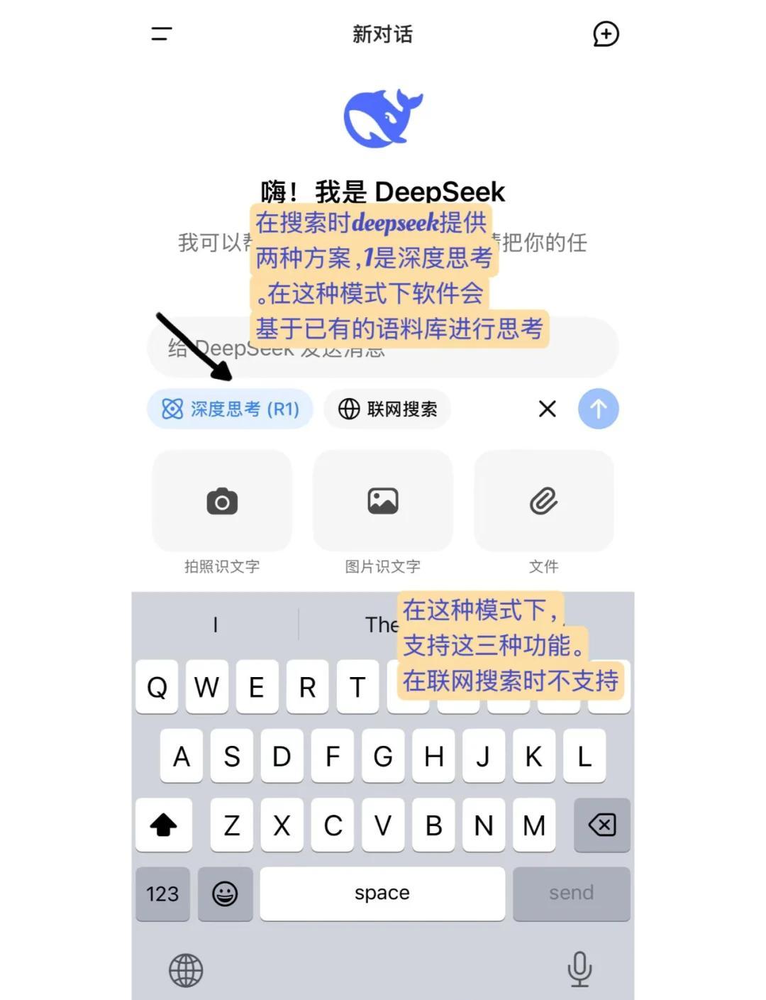 DeepSeek聊天机器人