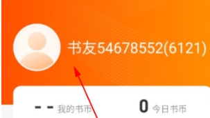 沁心缘小说