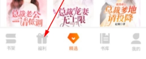 沁心缘小说