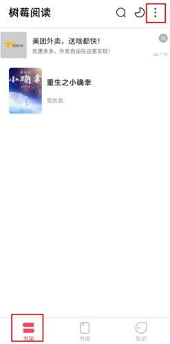 树莓阅读小说