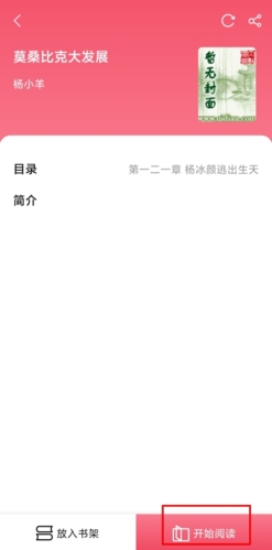 树莓阅读小说