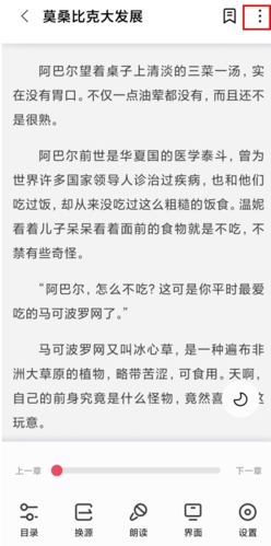 树莓阅读小说