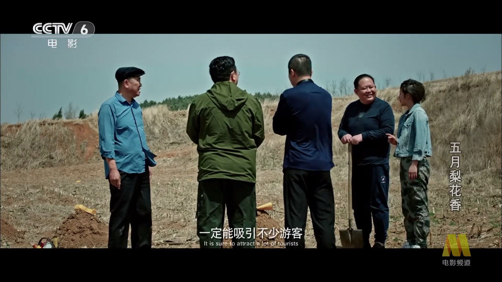 网络电视