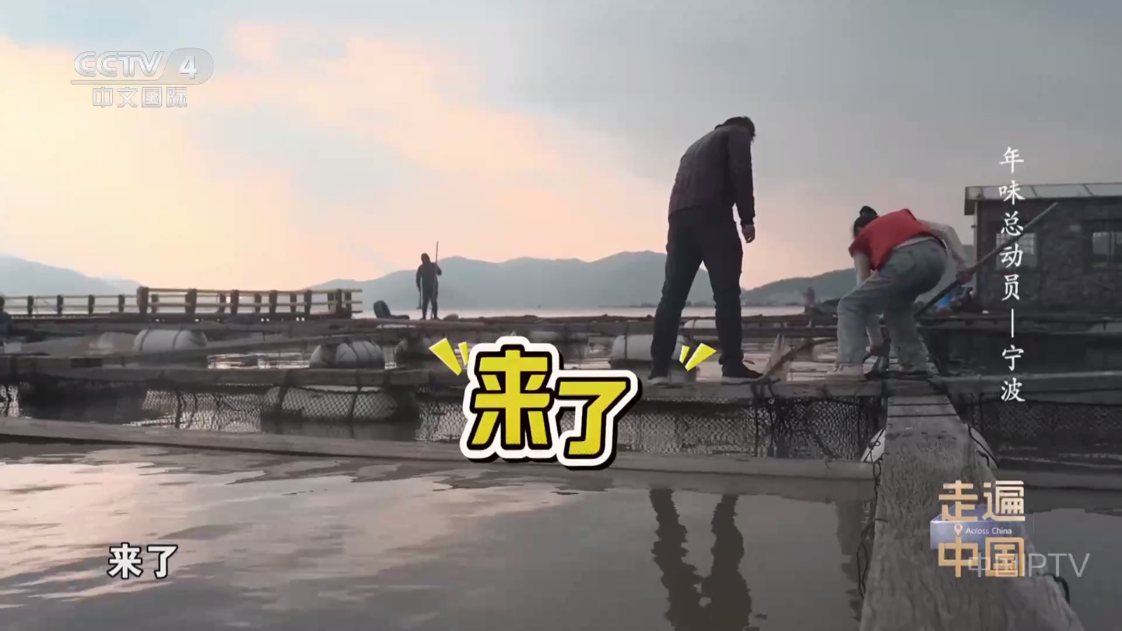 网络电视