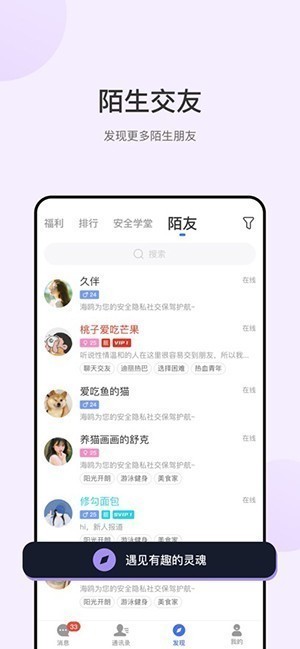 海鸥正版聊天