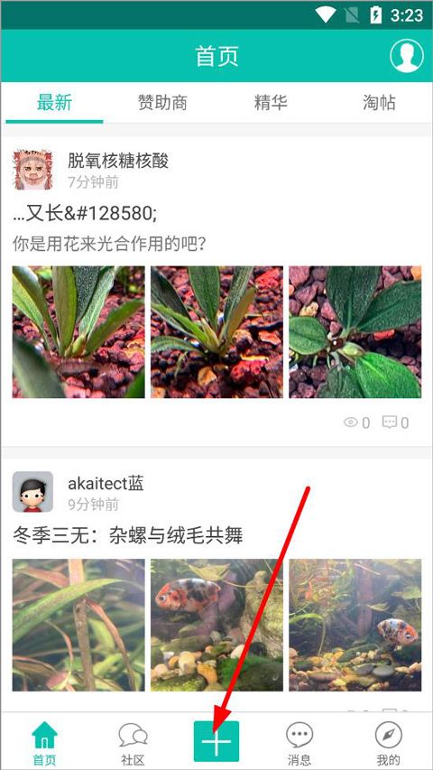 南美水族