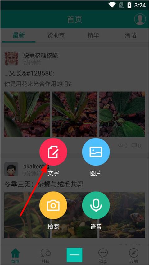 南美水族