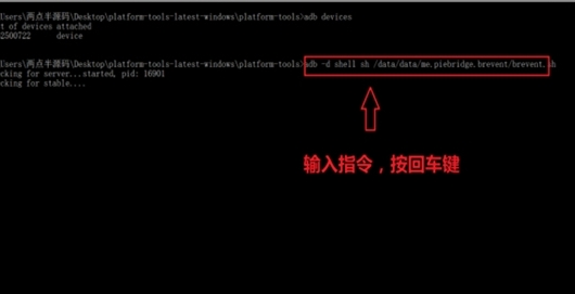 黑閾專業(yè)版