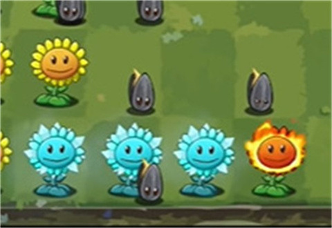 植物大戰(zhàn)僵尸轉(zhuǎn)基因版官方版