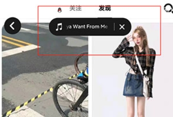 可颂交友