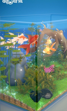 阿奎里亞概念魚缸養(yǎng)殖