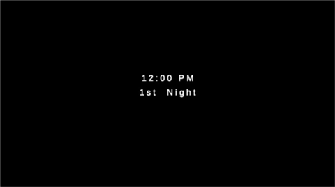 沙勒的五夜后宫2