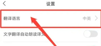 彩云小译翻译