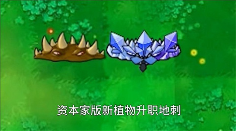 PVZ資本家版