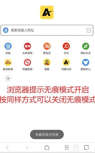 ViaX浏览器纯净版