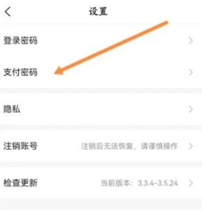 代练丸子打手版