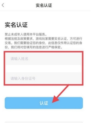 代练丸子打手版