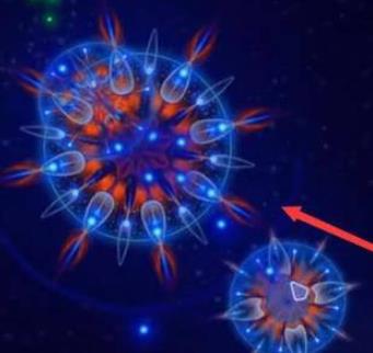 微生物模擬器官方版