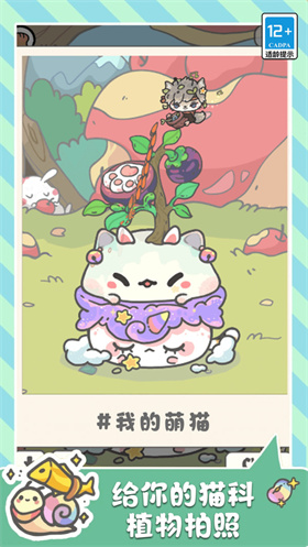 四平app软件开发服务萌猫奇妙世界