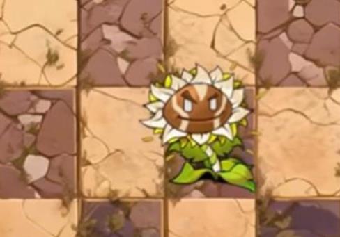 植物大战僵尸神奇植物版
