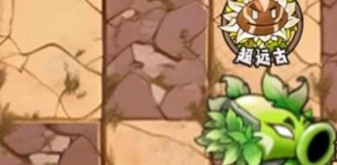 植物大战僵尸神奇植物版