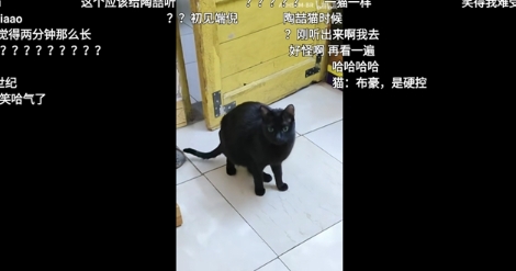 BBLL客戶端