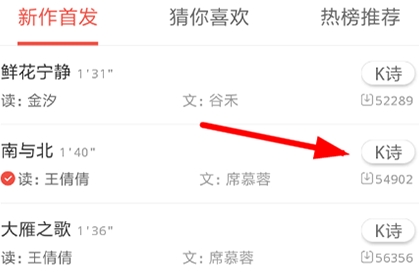 全民K诗