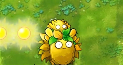 植物大战僵尸融合版强化版