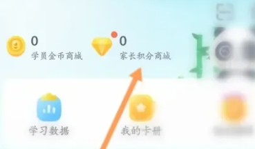 少年得到网课