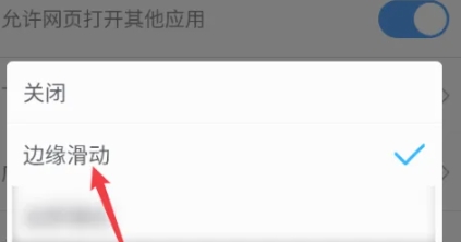 久久瀏覽器專業(yè)版