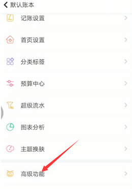 随手记专业版