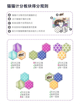 猫与花毯手机版
