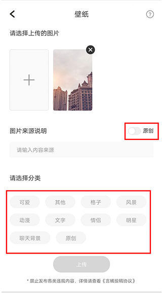 言橘免费版