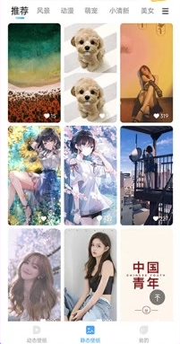 小鳥壁紙圖片
