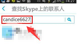 Skype外国版