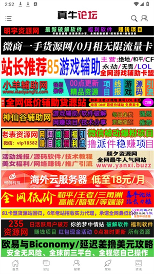 真牛论坛