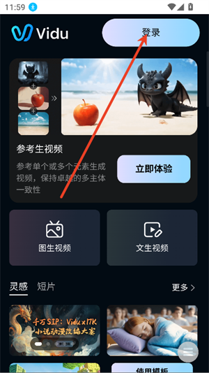 viduAI视频生成