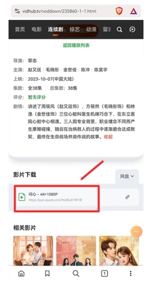 Brave浏览器中文版